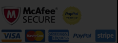 epagz.com Payment gateway plans MCAFEE secure,paypal,visa,master card,American express,stripe
